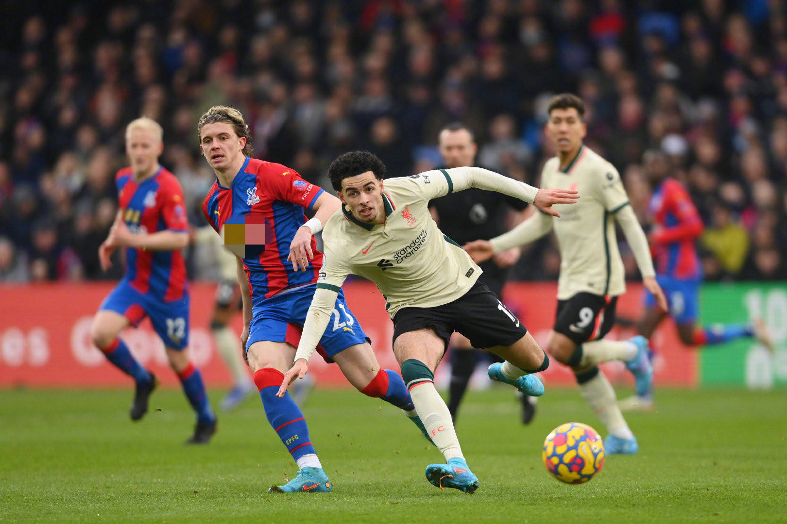 下来的全球 下来的全球